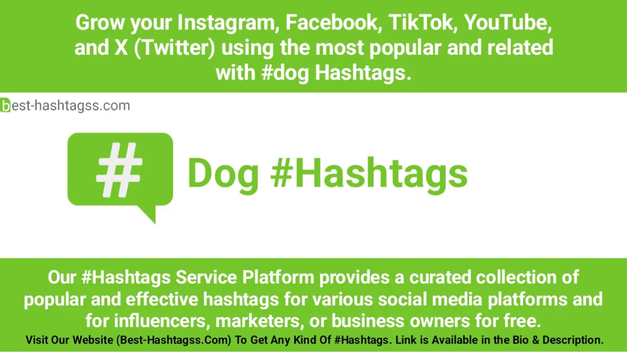 Best hashtags for Dog Hashtags Post to maximize reach on instagram, Facebook, YouTube, TikTok, X, & Other Social Media Posts